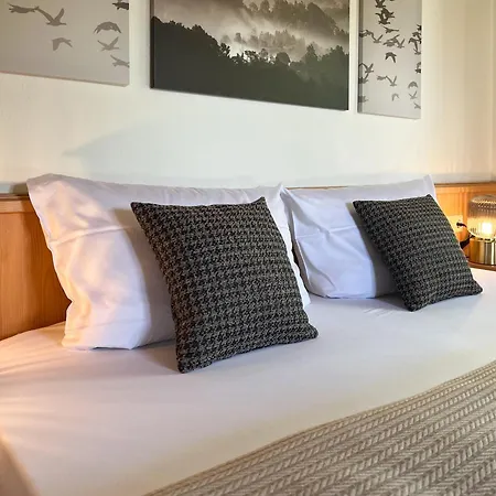 Schwarzwald Im Haus Tanneck - - Titisee