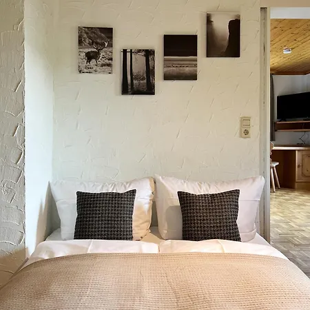 Aparthotel Schwarzwald Im Haus Tanneck - Feldberg - Titisee Feldberg (Baden-Wurttemberg)