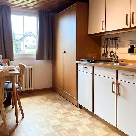 Schwarzwald Im Haus Tanneck - Feldberg - Titisee Aparthotel